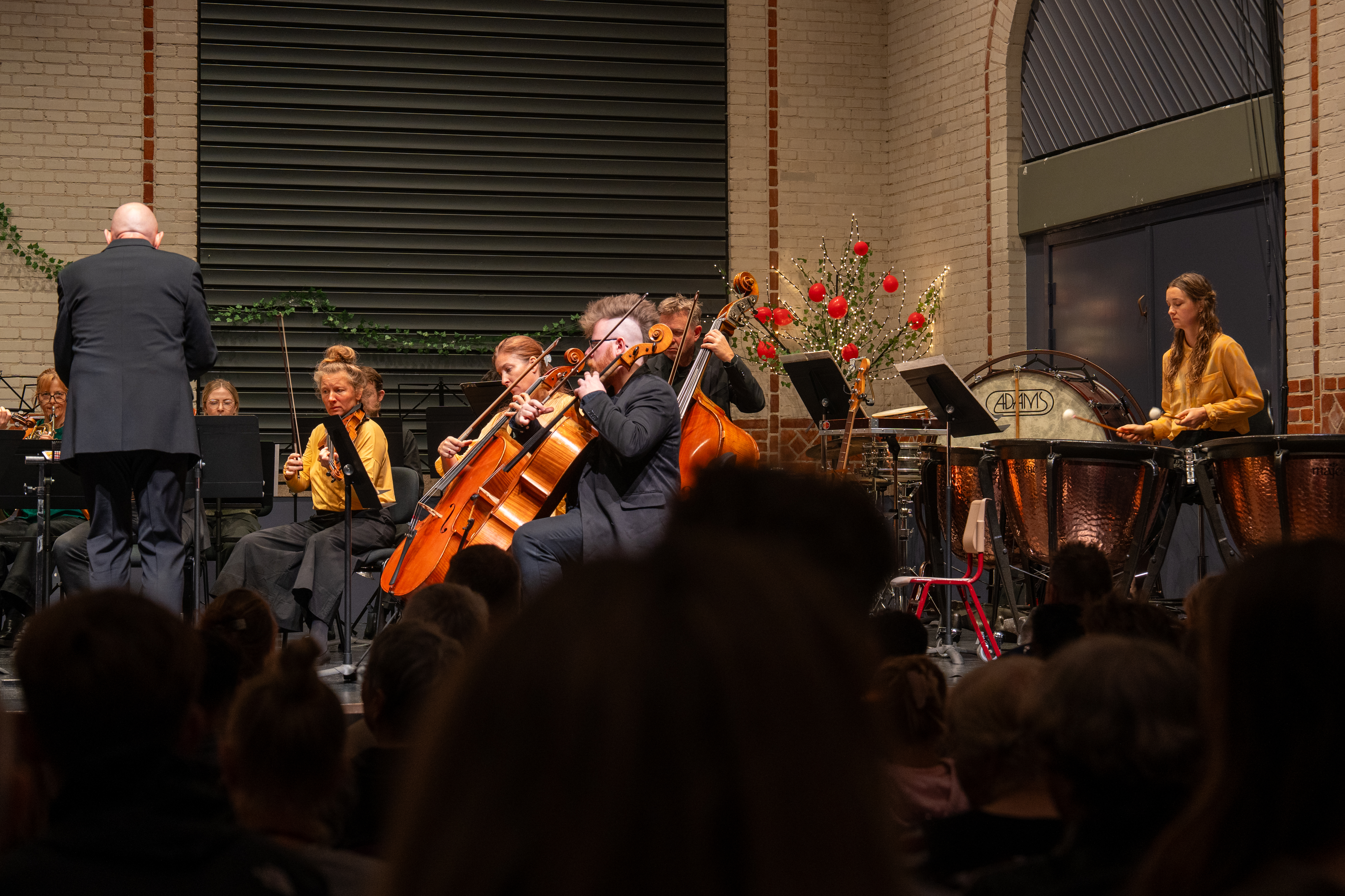 Familiekoncert m. Randers Kammerorkester