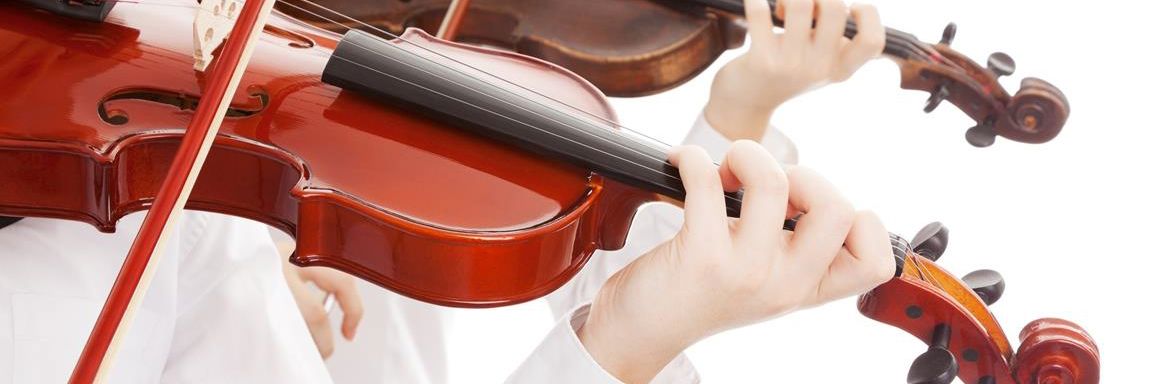 Violin