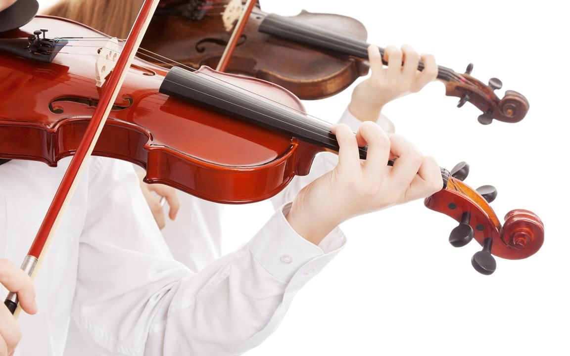Violin