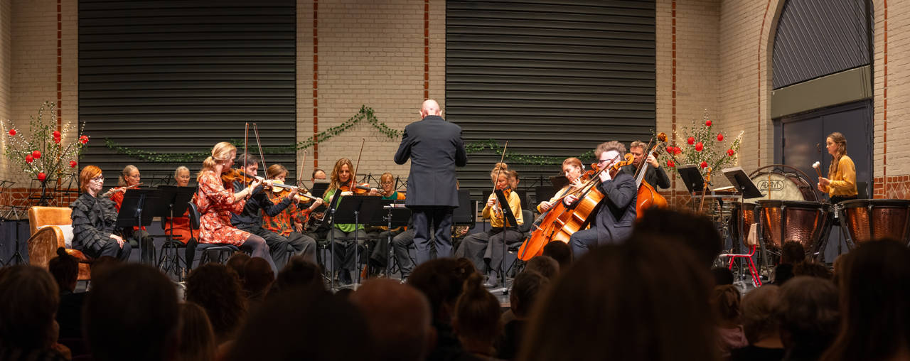 Familiekoncert m. Randers Kammerorkester